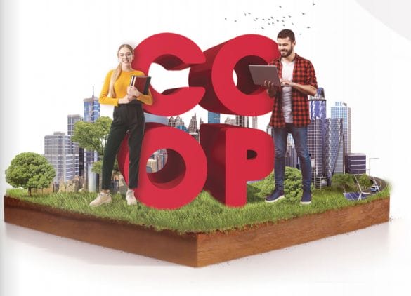 co-op bau