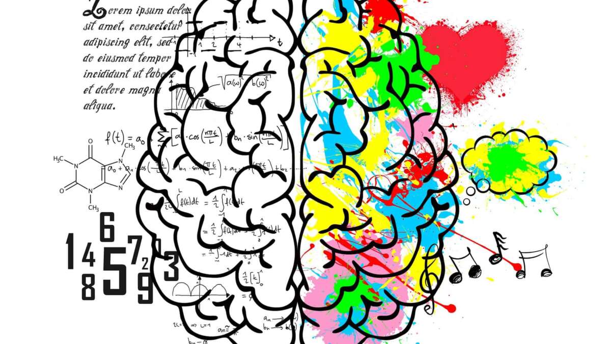 Sağ Beyin ve Sol Beyin Nedir? Nasıl Geliştirilebilir?